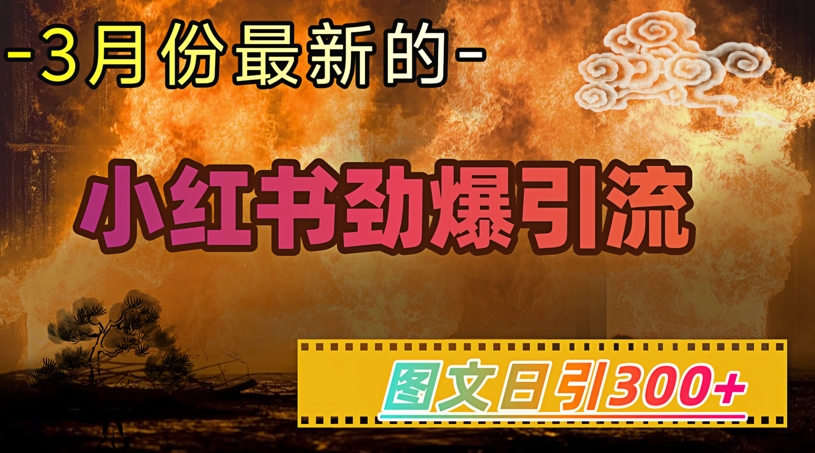 小红书超劲爆引流手段，图文日引300+轻松变现1W-爱尚云