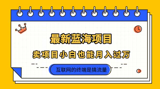 2025年最新蓝海项目，卖项目小白也能月入过万-爱尚云