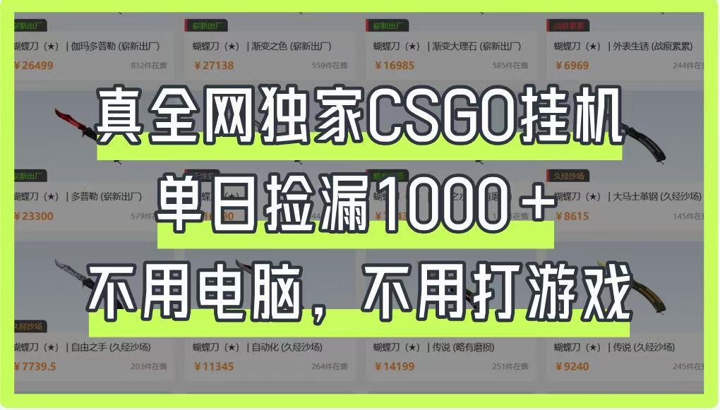 真全网独家CSGO挂机，单日捡漏1000+，不用电脑，不用养号-爱尚云