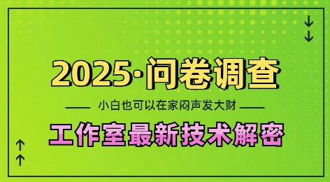 2025问卷调查最新工作室技术解密：一个人在家也可以闷声发大财，小白一天2张，可矩阵放大【揭秘】-爱尚云