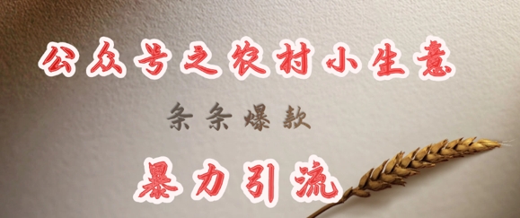 deepseek写农村小项目，条条爆款，暴力引流-爱尚云