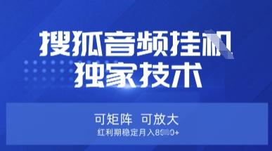 【搜狐音频挂G】独家技术，可矩阵可放大，红利期稳定月入8k【揭秘】-爱尚云