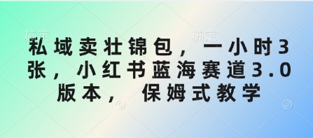私域卖壮锦包，一小时3张，小红书蓝海赛道3.0版本， 保姆式教学-爱尚云