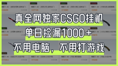 真全网独家CSGO挂G，单日捡漏1k+【揭秘】-爱尚云