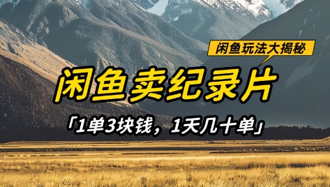 闲鱼卖纪录片1单3块钱，1天几十单，项目稳定有潜力-爱尚云
