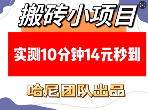 搬砖小项目，实测10分钟14元秒到，每天稳定几张(赠送必看稳定)-爱尚云