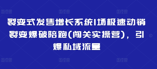 裂变式发售增长系统1场极速动销裂变爆破陪跑(闯关实操营)，引爆私域流量-爱尚云
