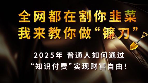 全网都在割你韭菜，我来教你做镰刀，2025普通人如何通过知识付费，实现财F自由【揭秘】-爱尚云